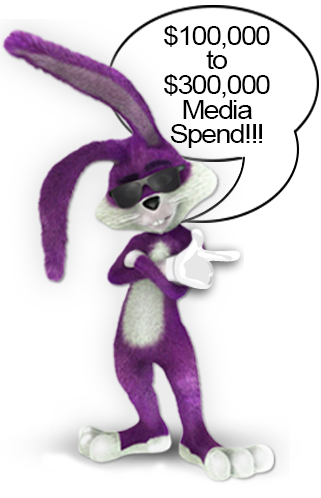 Rabbit Marketing Demo - Webster Presents Netword Media